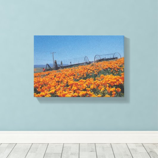 California Poppies Canvas Afdruk (Insitu (Houten vloer))