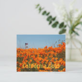 California Poppies en American Flag Post Card Briefkaart (Staand voorkant)