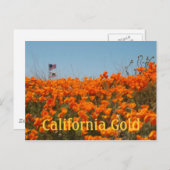 California Poppies en American Flag Post Card Briefkaart (Voorkant / Achterkant)