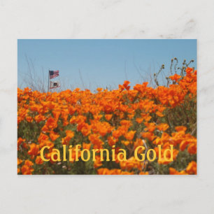 California Poppies en American Flag Post Card Briefkaart