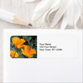 California Poppies Etiket (Insitu)