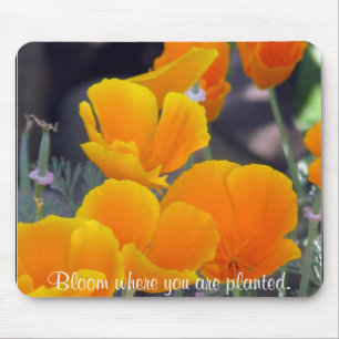 California Poppies met Citaat Muismat