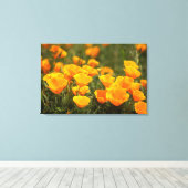 California poppies, Montana de Oro State Park Canvas Afdruk (Insitu (Houten vloer))