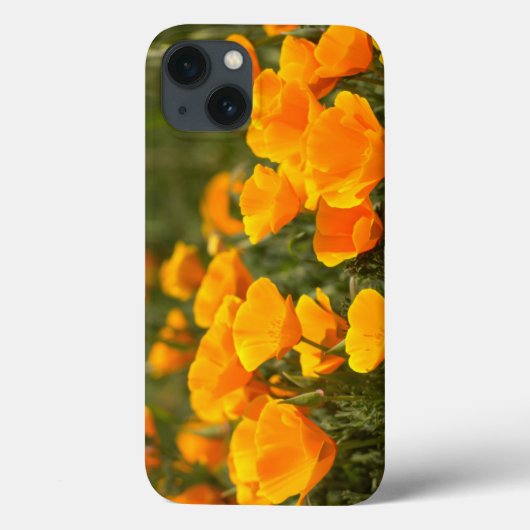California poppies, Montana de Oro State Park Case-Mate iPhone Case (Achterkant)
