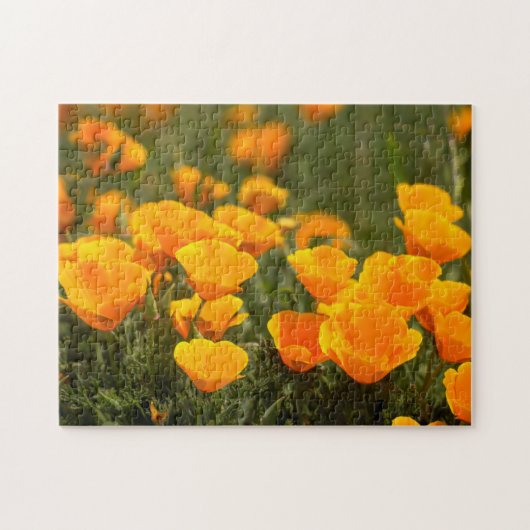 California poppies, Montana de Oro State Park Legpuzzel (Horizontaal)