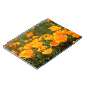 California poppies, Montana de Oro State Park Notitieboek (Linkerzijde)