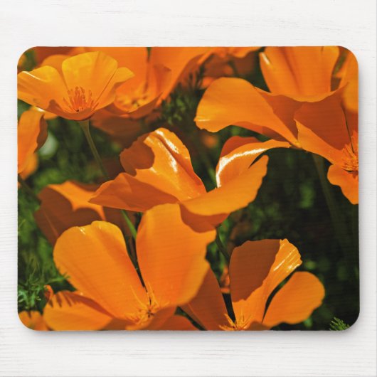 California Poppies Mousepad Muismat (Voorkant)