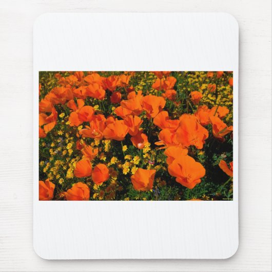 California Poppies Muismat (Voorkant)