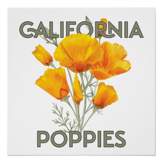 California Poppies Perfect Poster (Voorkant)