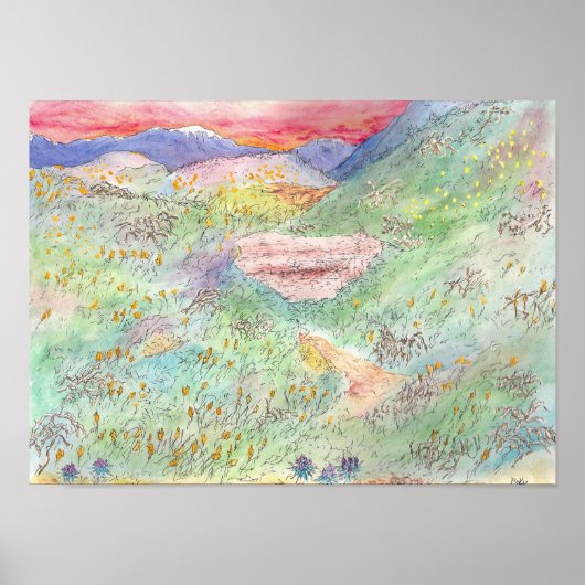 California Poppies Poster (Voorkant)