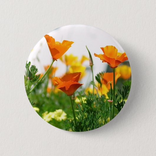 California Poppies Ronde Button 5,7 Cm (Voorkant)