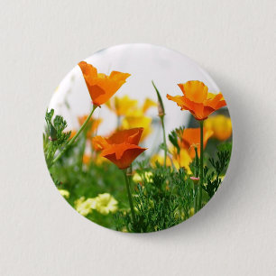 California Poppies Ronde Button 5,7 Cm
