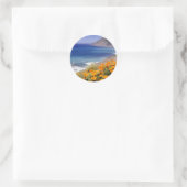 California Poppies Ronde Sticker (Tas)