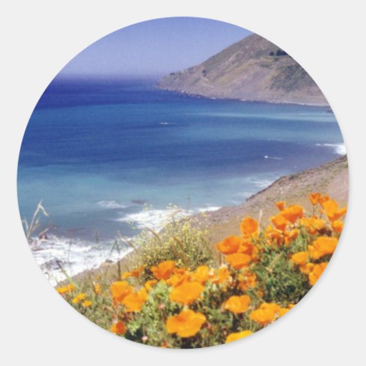 California Poppies Ronde Sticker (Voorkant)