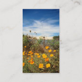 California Poppies & Sand Dunes Visitekaartje (Achterkant)