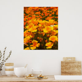 California Poppies | Schoonheid van de lente Poster