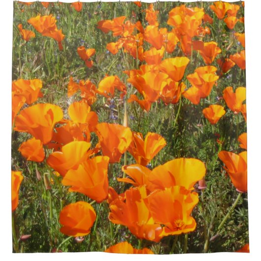 California Poppies Shower Curtain Douchegordijn (Voorkant)