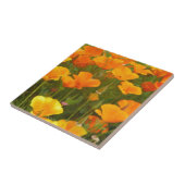 California Poppies Tegeltje (Zijkant)
