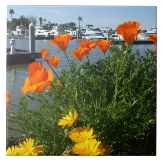 California Poppies Tegeltje (Voorkant)