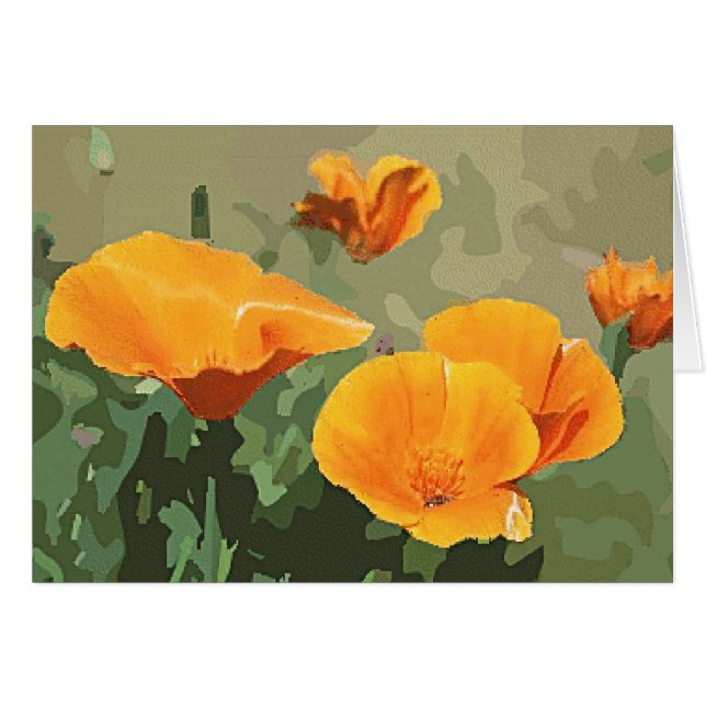 California Poppy (Voorkant Horizontaal)