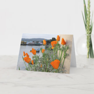 California Poppy Bedankkaart