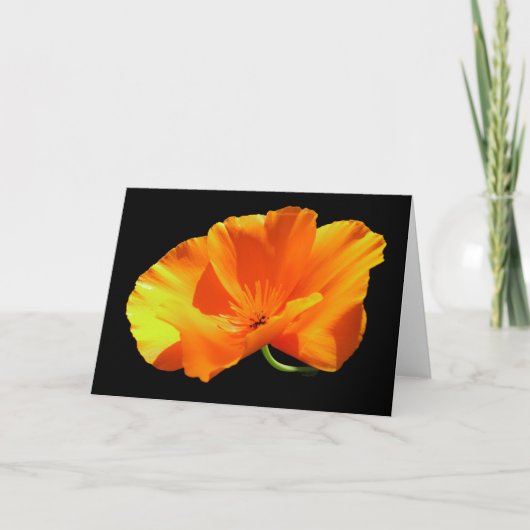 California Poppy Blank Kaart (Voorkant)