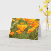 California Poppy Blank Wenskaart Kaart (Gele Bloem)