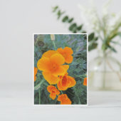 California Poppy Briefkaart (Staand voorkant)