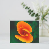 California Poppy Briefkaart (Staand voorkant)