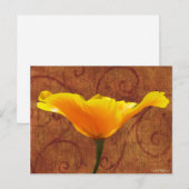 California Poppy Briefkaart (Voorkant / Achterkant)