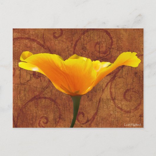 California Poppy Briefkaart (Voorkant)