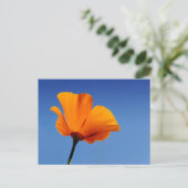 California Poppy Briefkaart (Staand voorkant)