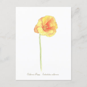 California Poppy Briefkaart