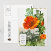 California Poppy Briefkaart (Voorkant / Achterkant)