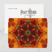 California Poppy - Briefkaart (Voorkant / Achterkant)