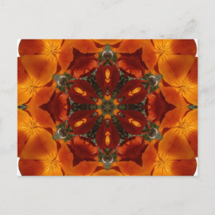California Poppy - Briefkaart