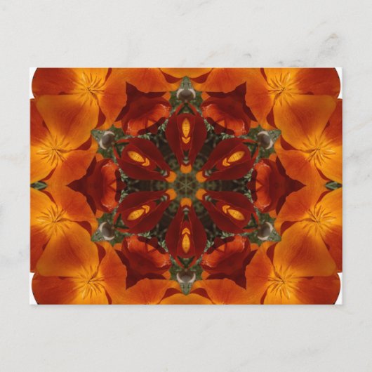 California Poppy - Briefkaart (Voorkant)