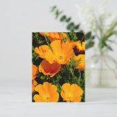 "California Poppy" Briefkaart (Staand voorkant)