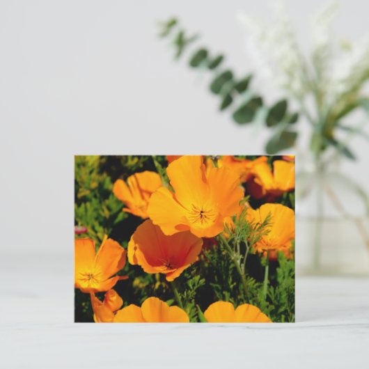 "California Poppy" Briefkaart (Staand voorkant)