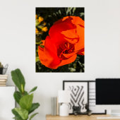 California Poppy - California Poppy 1 Poster (Thuiskantoor)