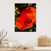California Poppy - California Poppy 1 Poster (Keuken)