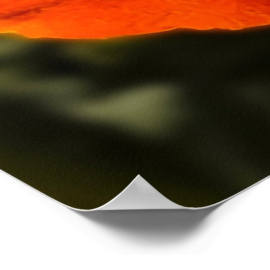 California Poppy - California Poppy 1 Poster (Hoek)