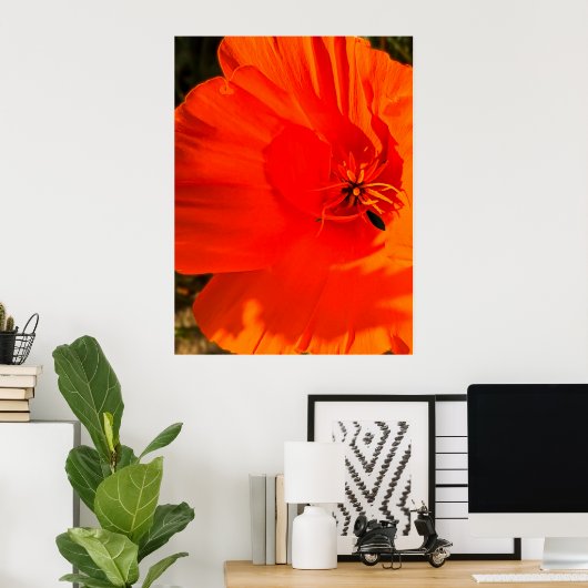 California Poppy - California Poppy 3 Poster (Thuiskantoor)
