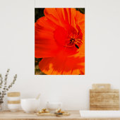 California Poppy - California Poppy 3 Poster (Keuken)