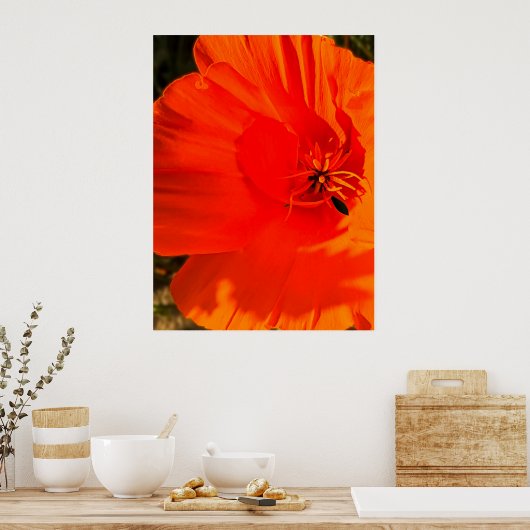 California Poppy - California Poppy 3 Poster (Keuken)