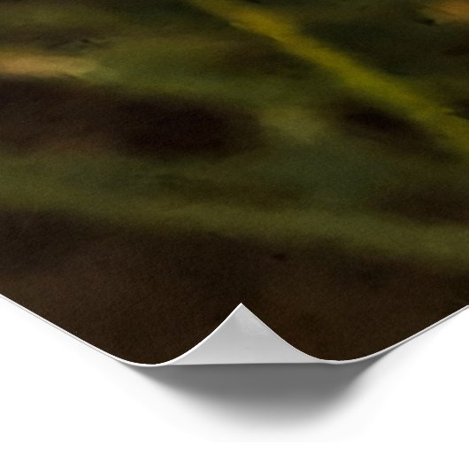 California Poppy - California Poppy 4 Poster (Hoek)