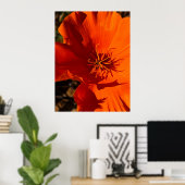 California Poppy - California Poppy 6 Poster (Thuiskantoor)