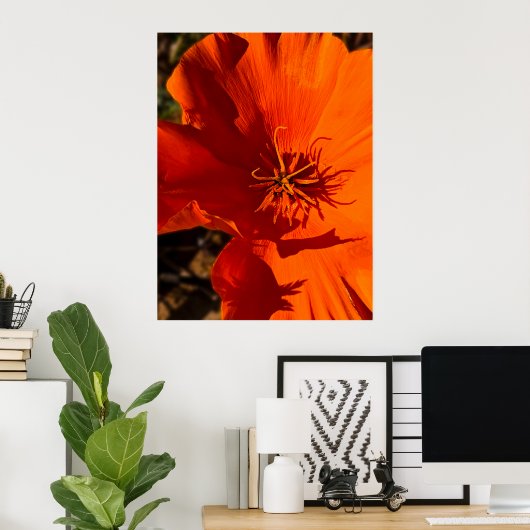 California Poppy - California Poppy 6 Poster (Thuiskantoor)