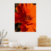 California Poppy - California Poppy 6 Poster (Keuken)