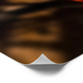 California Poppy - California Poppy 6 Poster (Hoek)